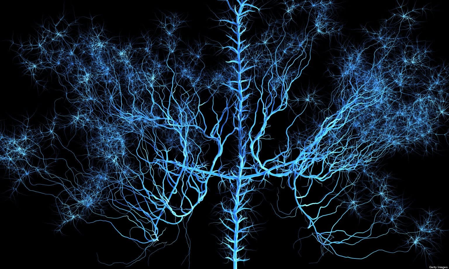 Turn off Your Dreams with This Neural Switch
