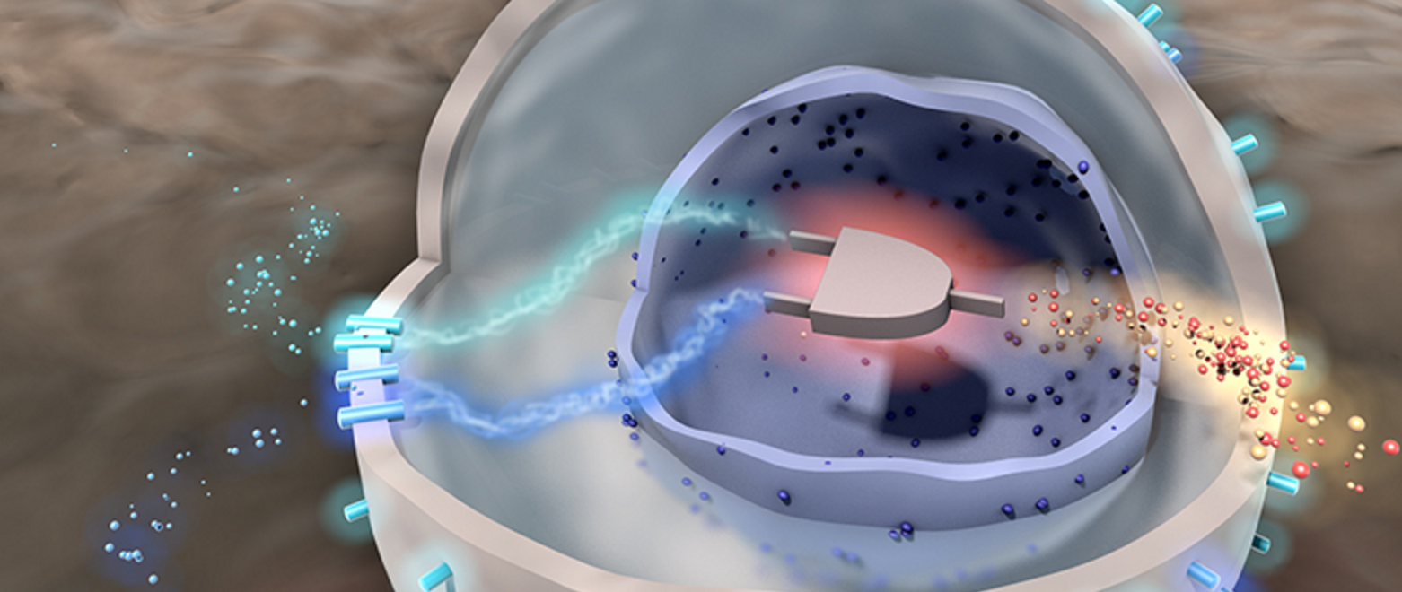 Science Translational Medicine / Chris Bickel. Reprinted with permission from AAAS