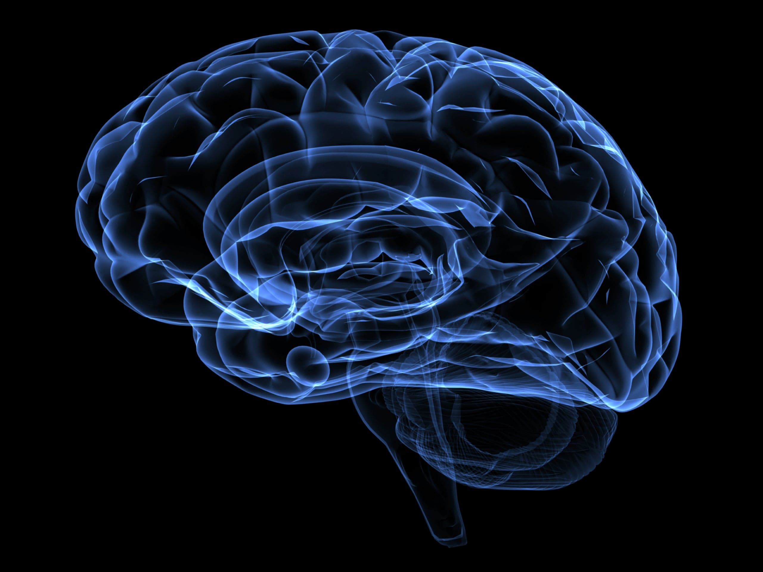 Using Brain Signals, Disabled Violinist Plays Music For the First Time in 27 Years