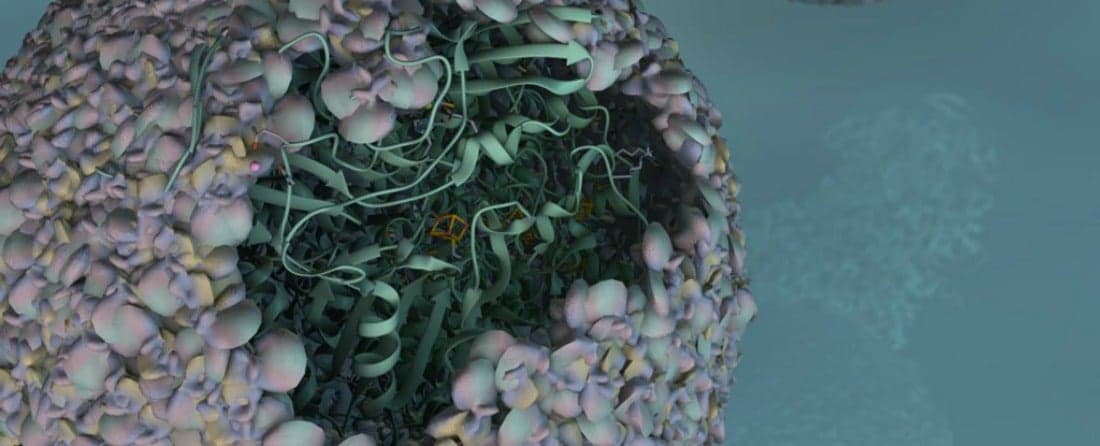 Scientists Put Bacteria Inside Virus Shell, Creating 'Nano-Reactor' to Produce Hydrogen Biofuel