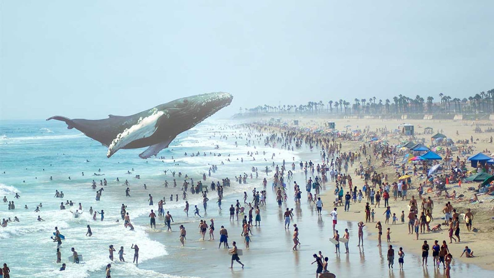 Magic leap