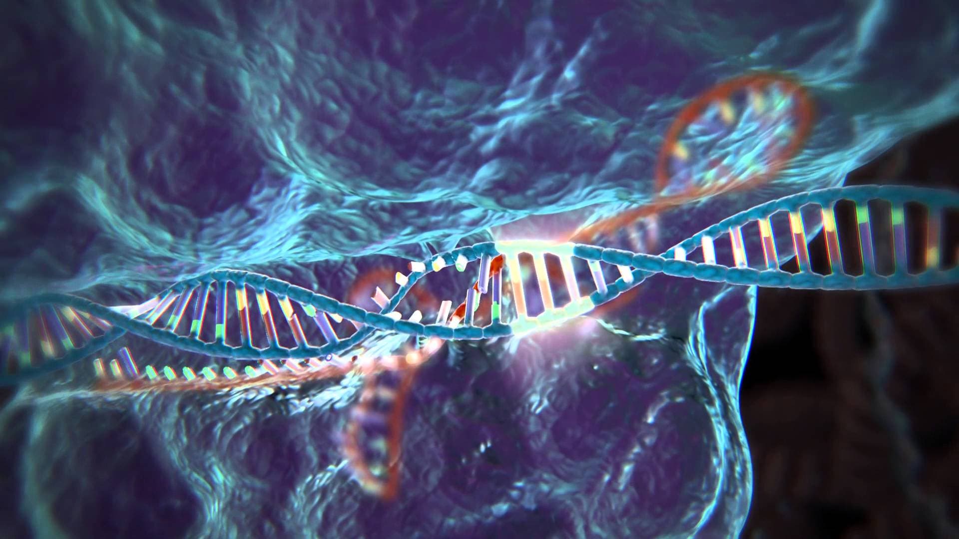 Genetic Engineering Creates Piglets That Are Immune to Deadly Disease