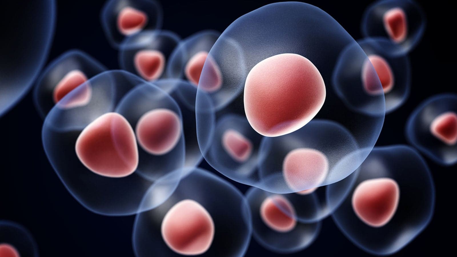 Regenerative Bandage Heals Wounds 4x Faster