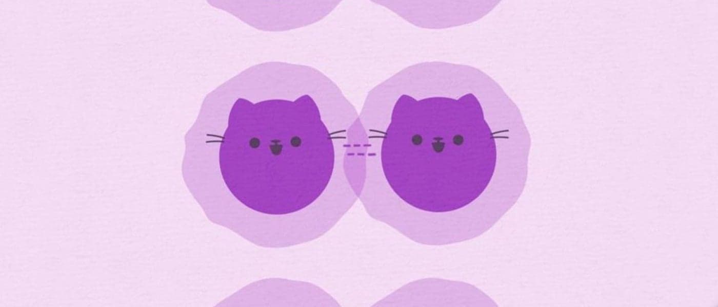 Physics Breakthrough: Quantum Cat State Finally Captured on Camera