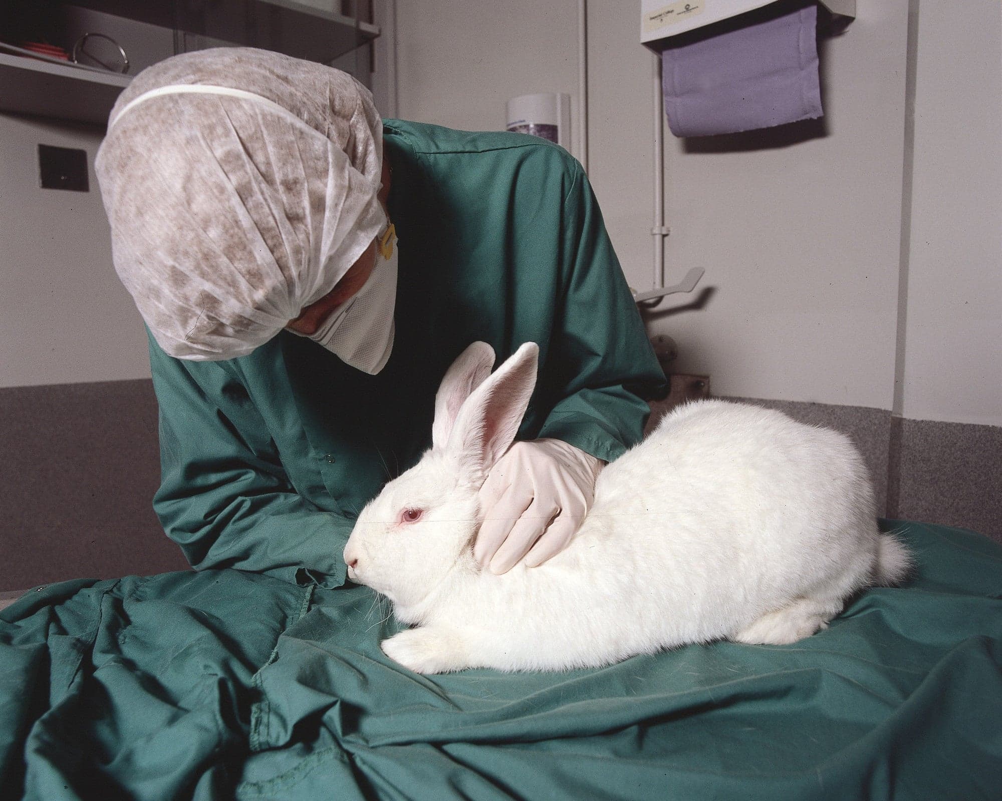 Understanding Animal Research/Flickr