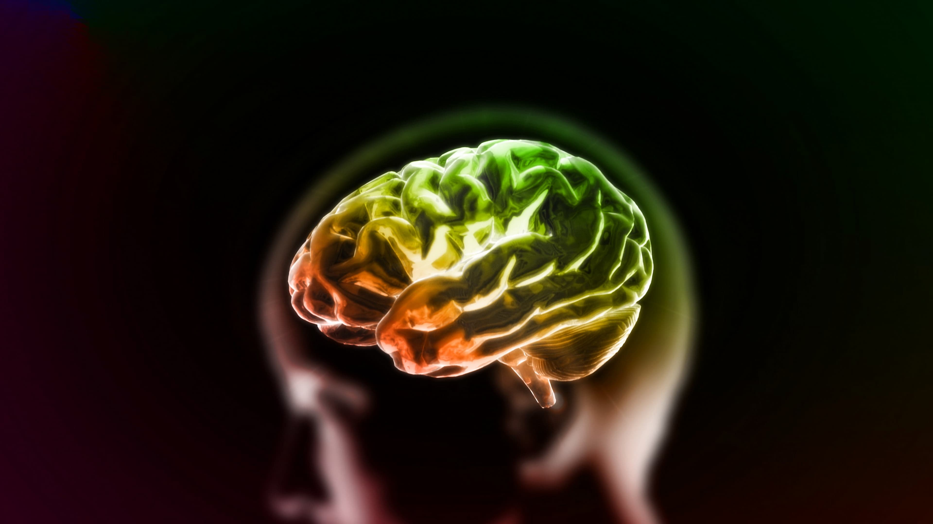 This Wearable MRI Device Could Help Us Read Minds
