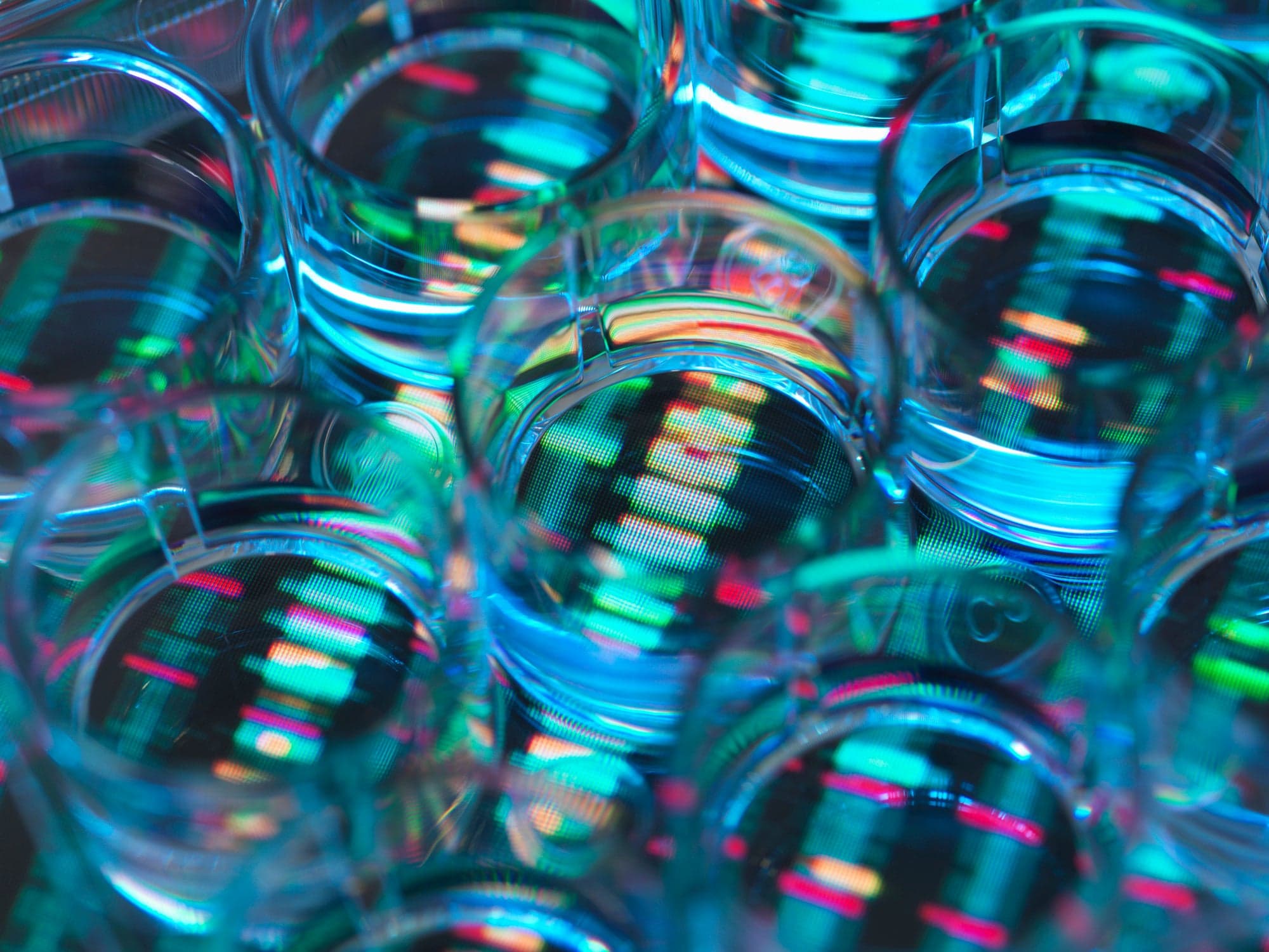 A New Gene Engineering Method Could Allow Us to Grow Organs for Transplants