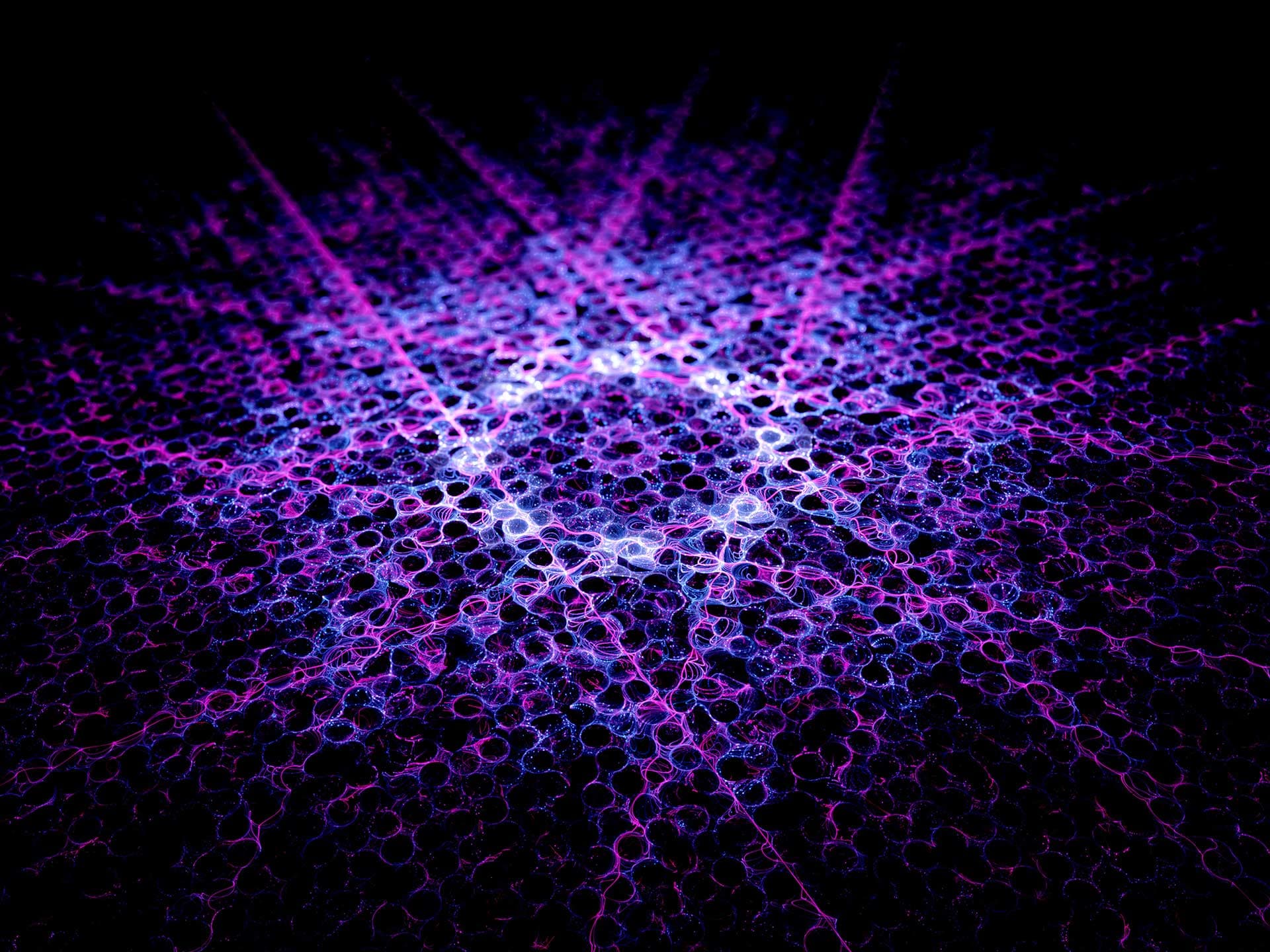 Adobe Stock