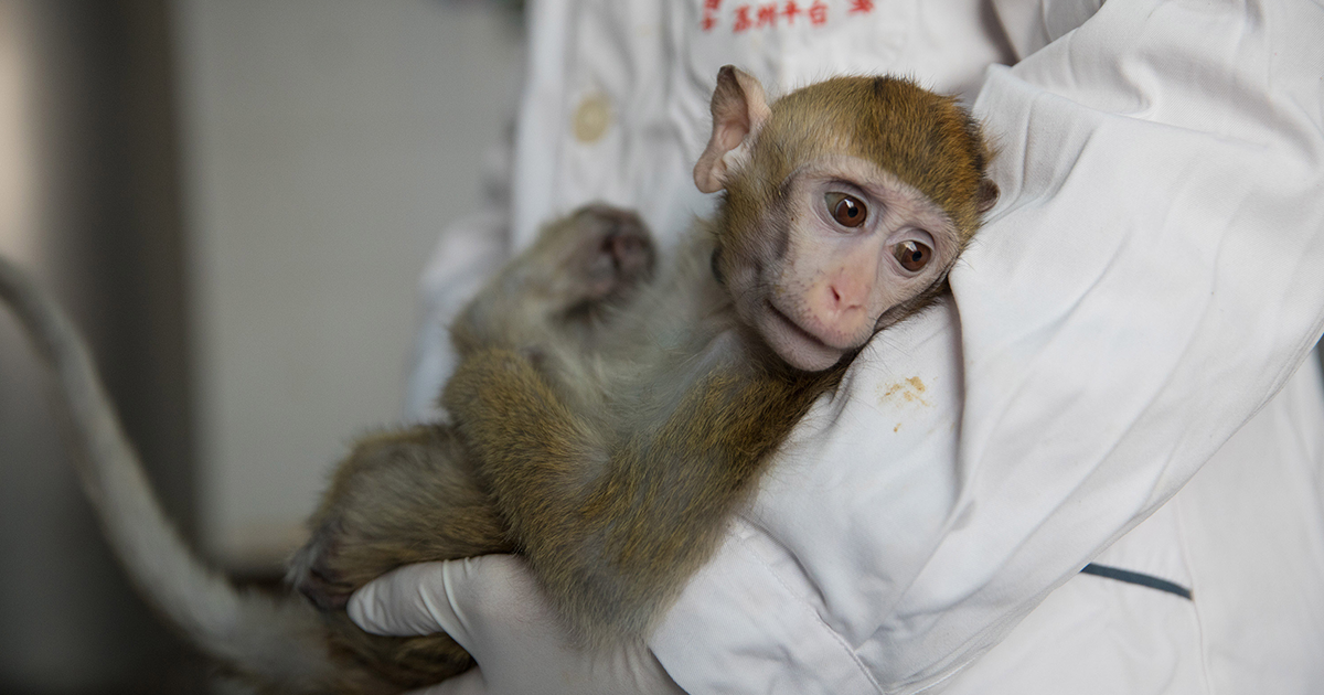 Xinhua/Jin Liwang via Getty Images