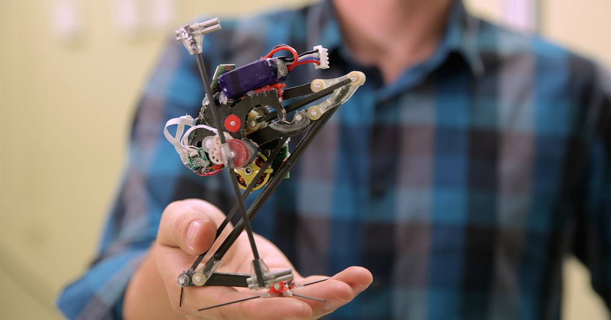 This Adorable Bouncing Robot Would Be Terrifying if It Was Huge