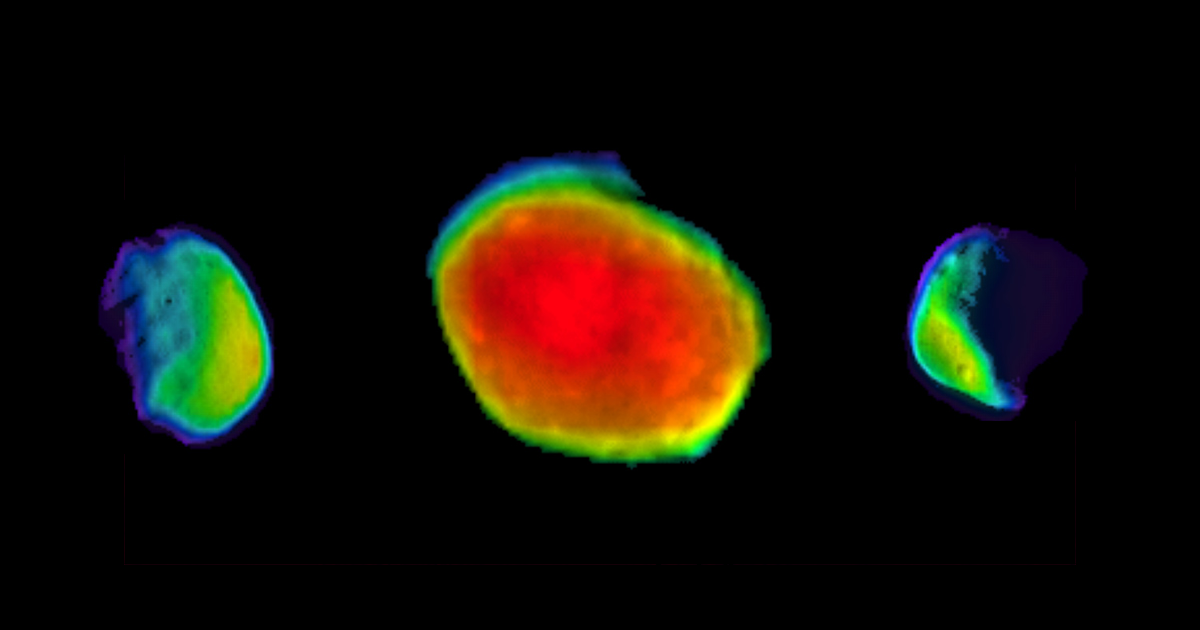 New Photos of Mars' Moon Phobos "Look Like Candy." Here's Why.