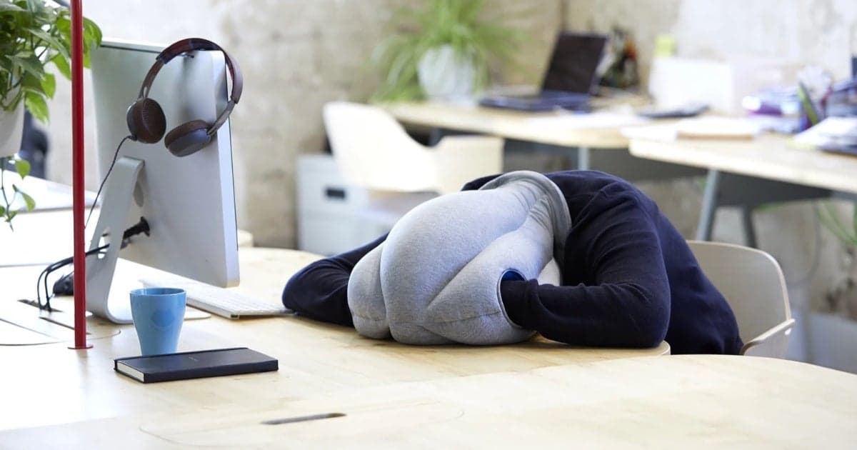 Ostrich Pillow