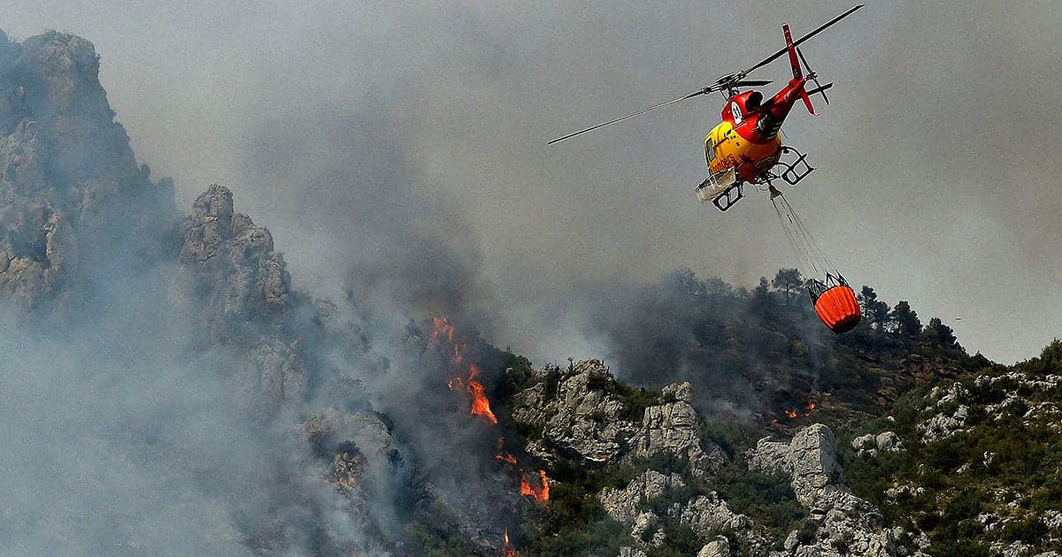 BARRENA / AFP
