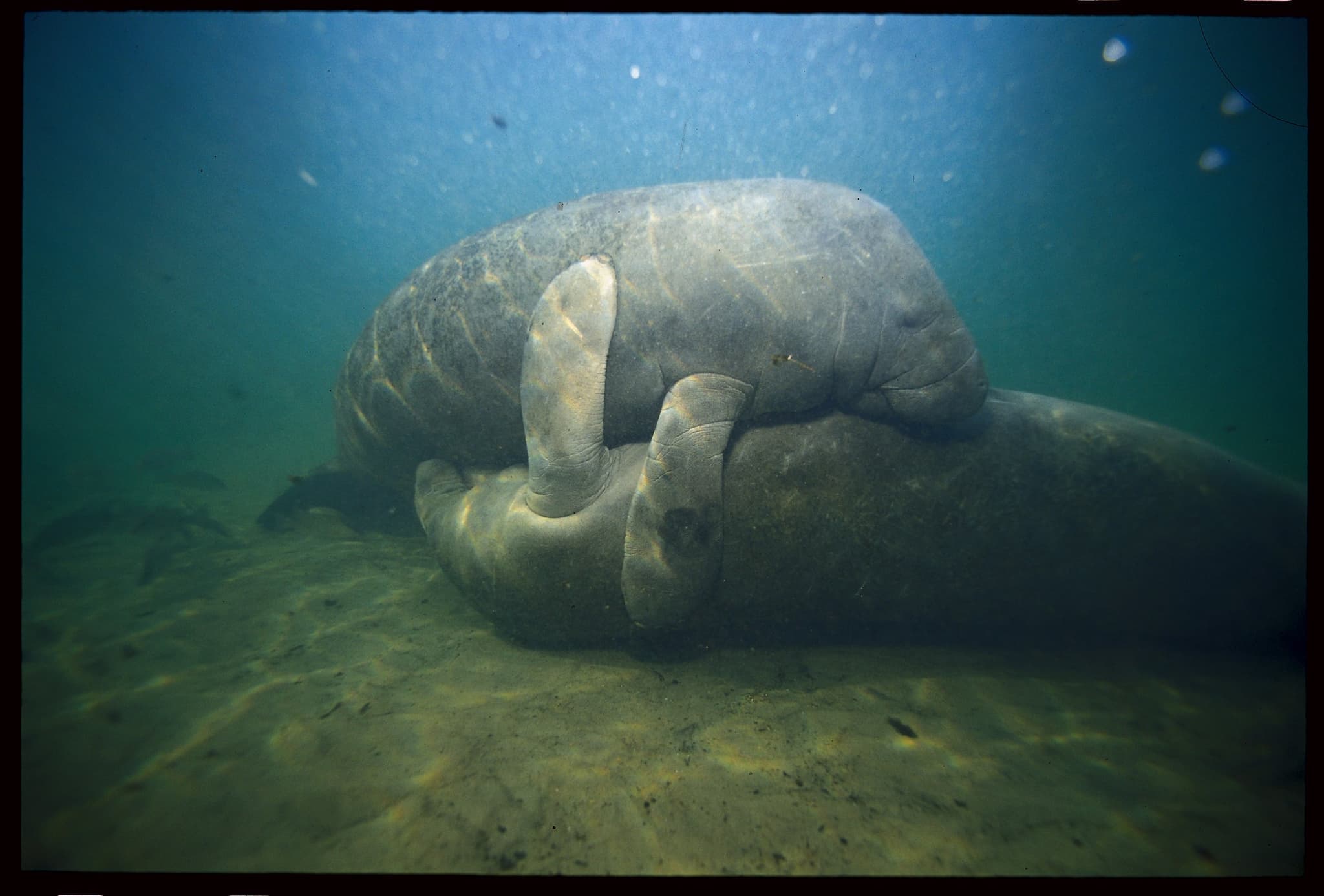 Stuart Westmorland via Getty Images