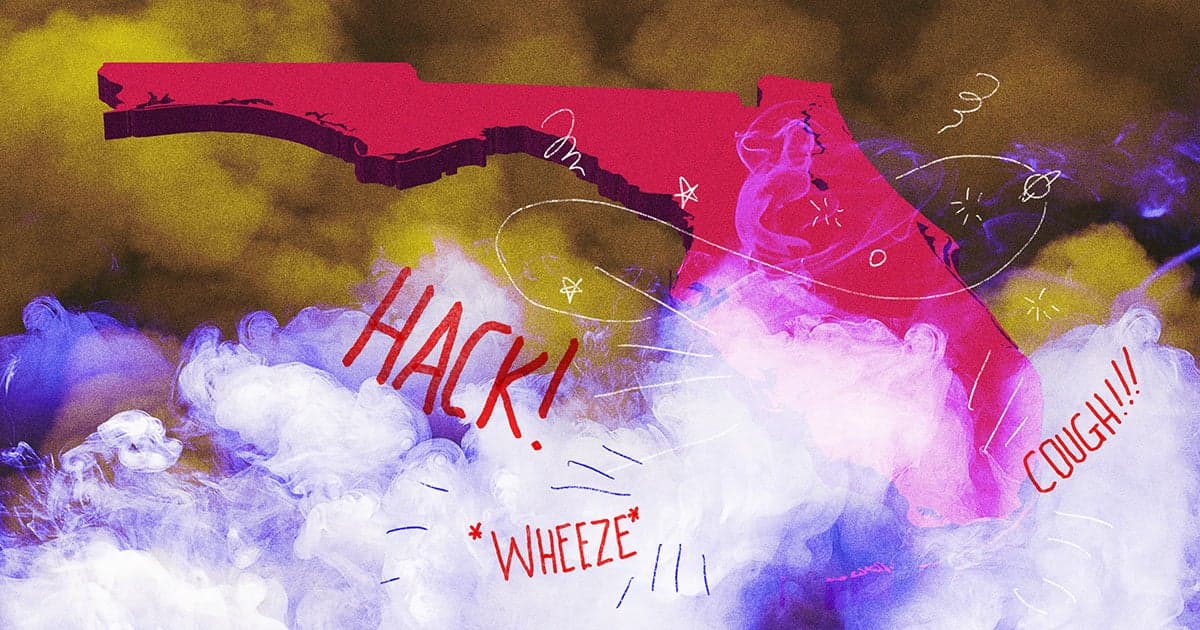 People in Florida Say Dense, Mysterious Fog With Chemical Smell Is Making Them Sick