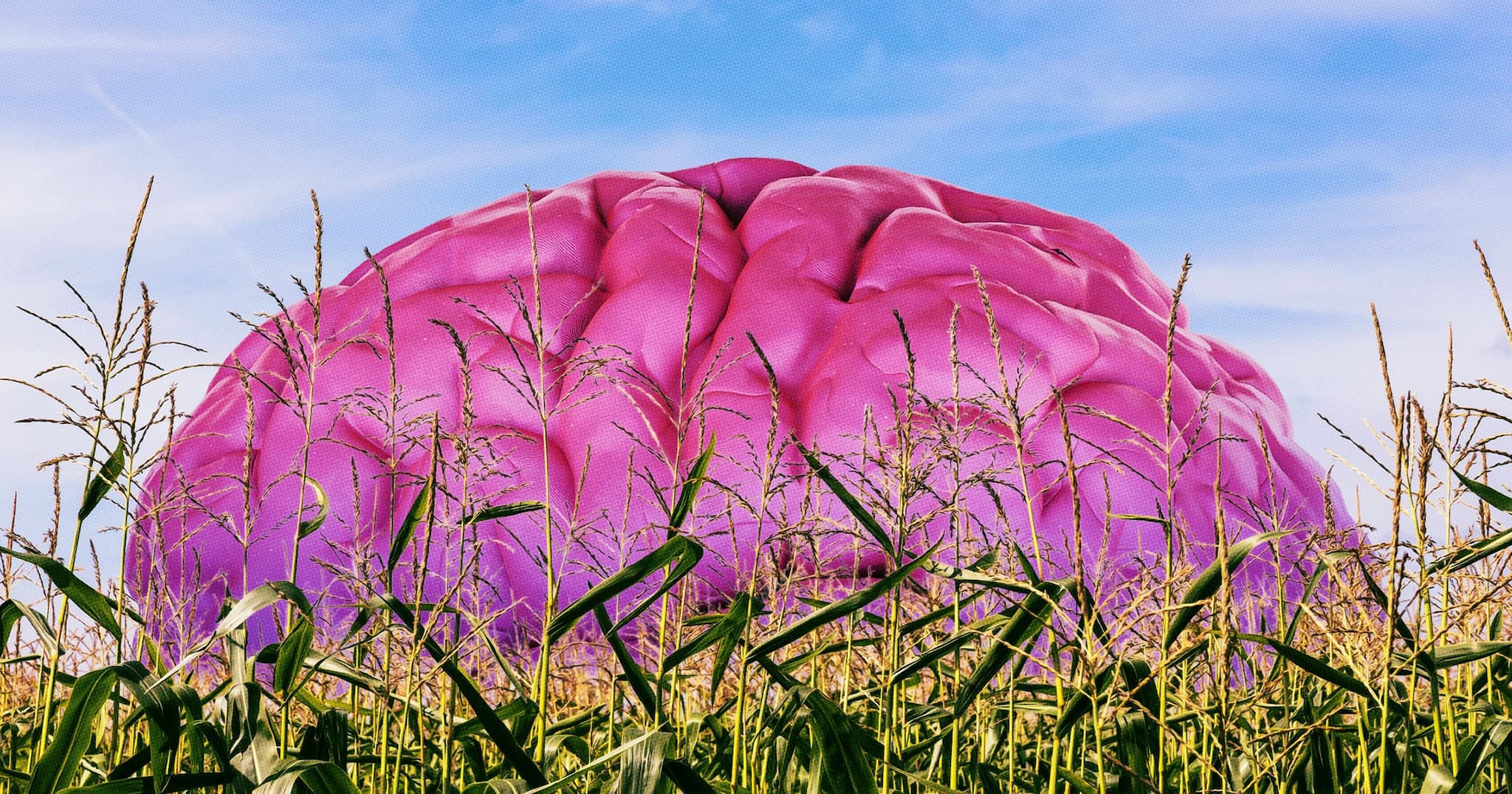 Getty / Futurism