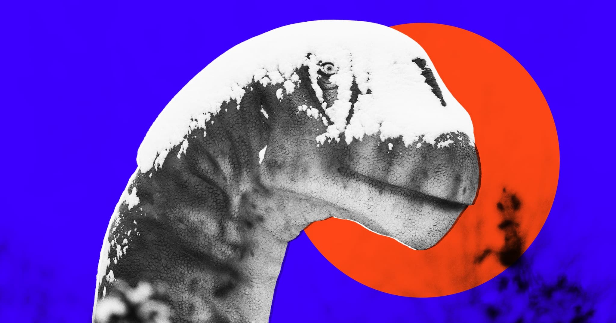 Hyoung Chang / The Denver Post via Getty / Futurism