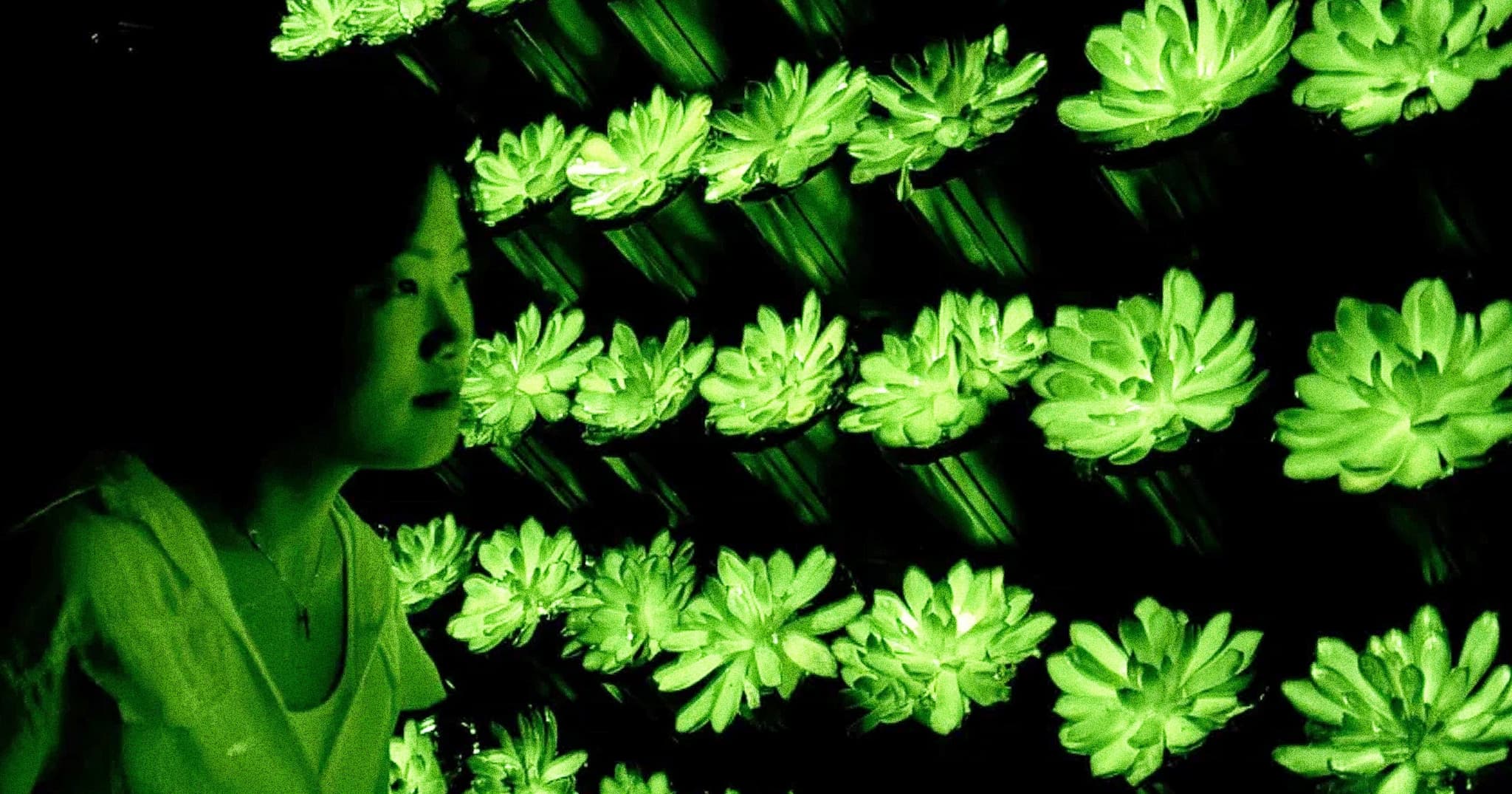 Liu et al.