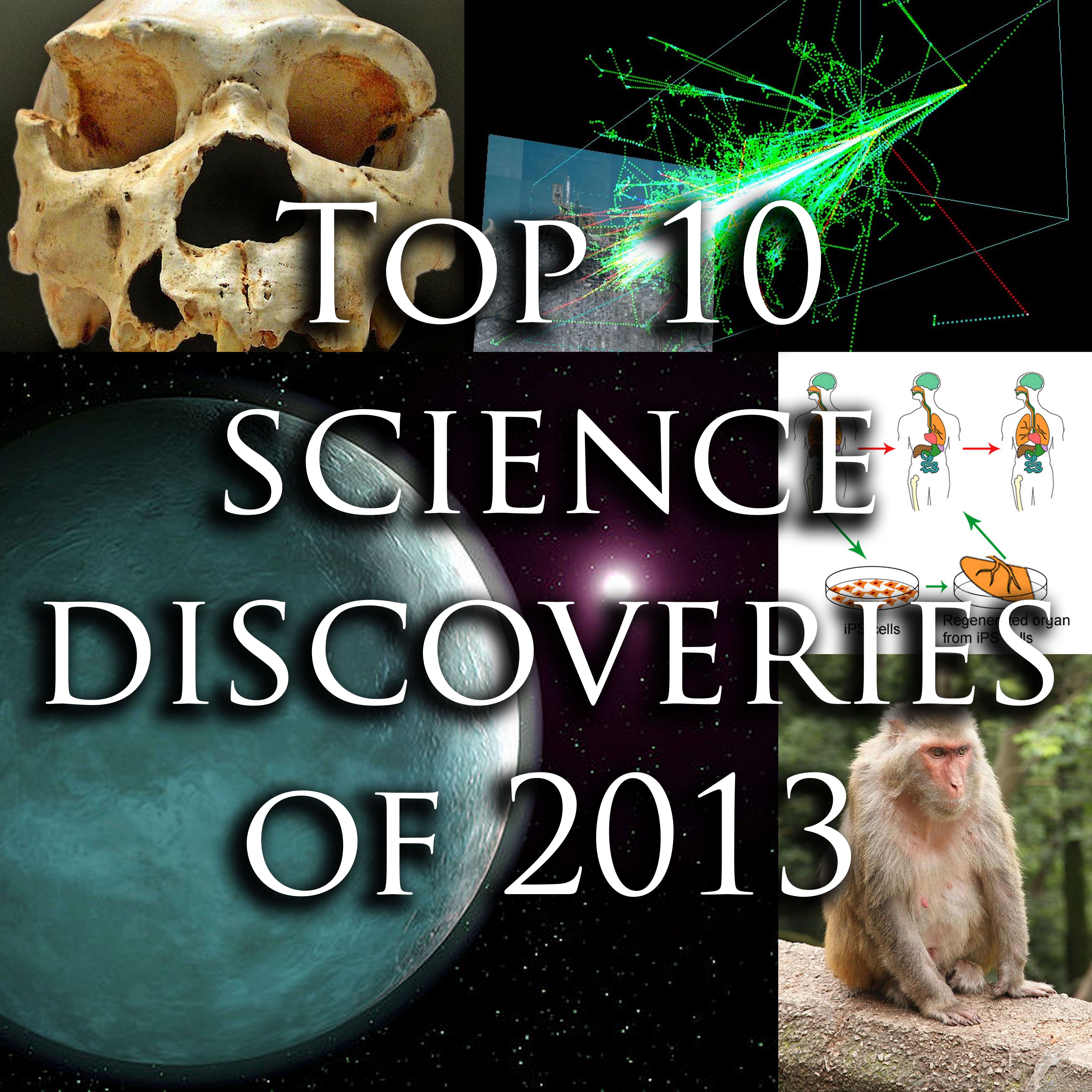 Top 10 Science Discoveries of 2013