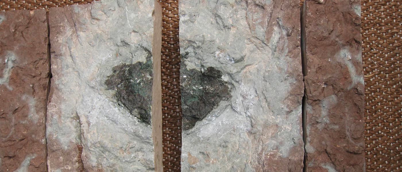 Scientists Just Discovered A New Type of Meteorite
