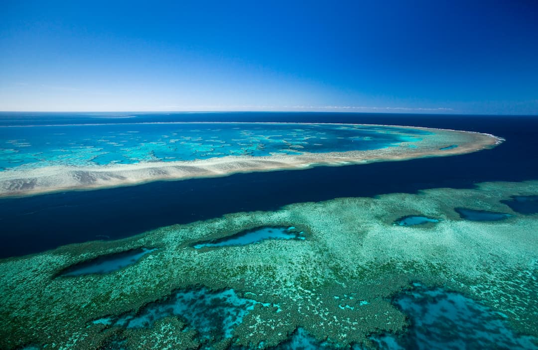 Scientists Announce That The Great Barrier Reef is Officially “Terminal”