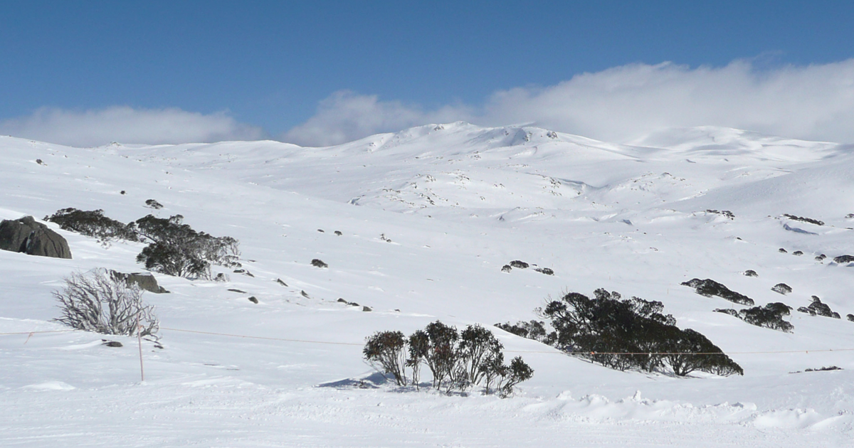 By 2050 winter will no longer exist in australia say researchers