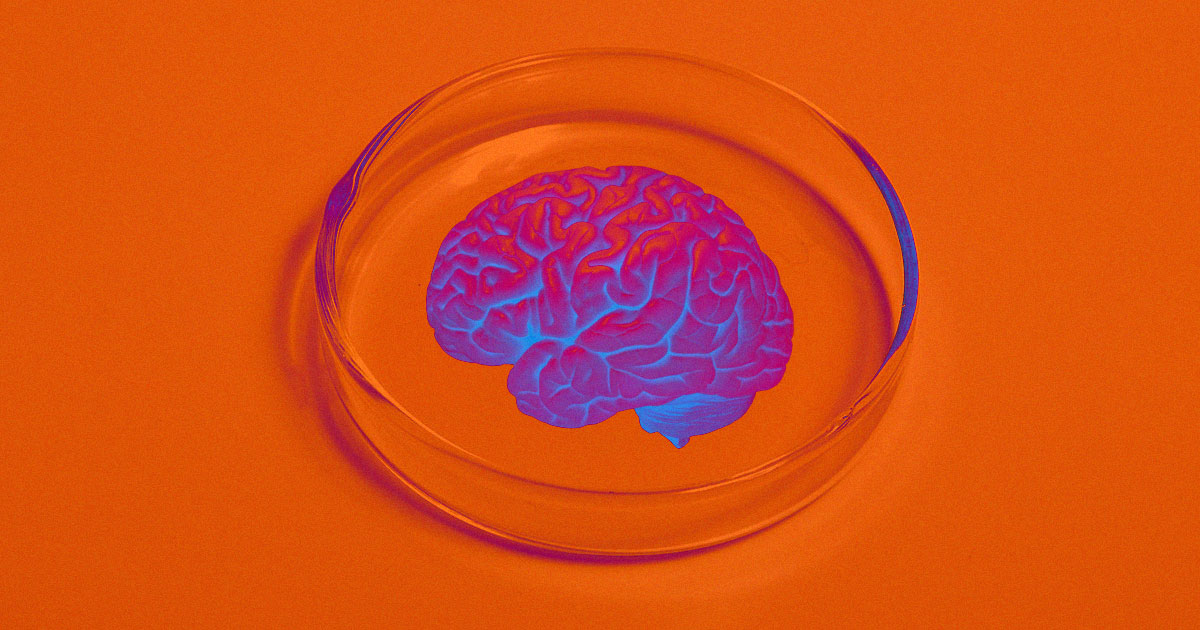 Scientists Worried That Human Brains Grown In Lab May Be Sentient