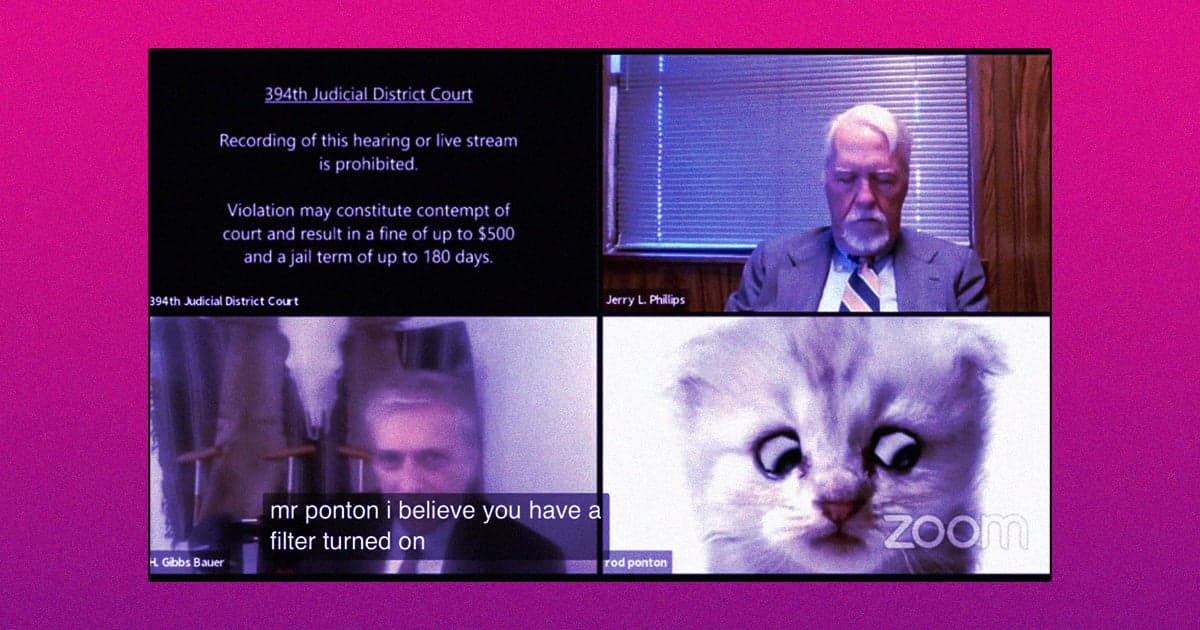 Lawyer Accidentally Logs Into Court With Zoom Filter Turning Him Into Kitty Cat