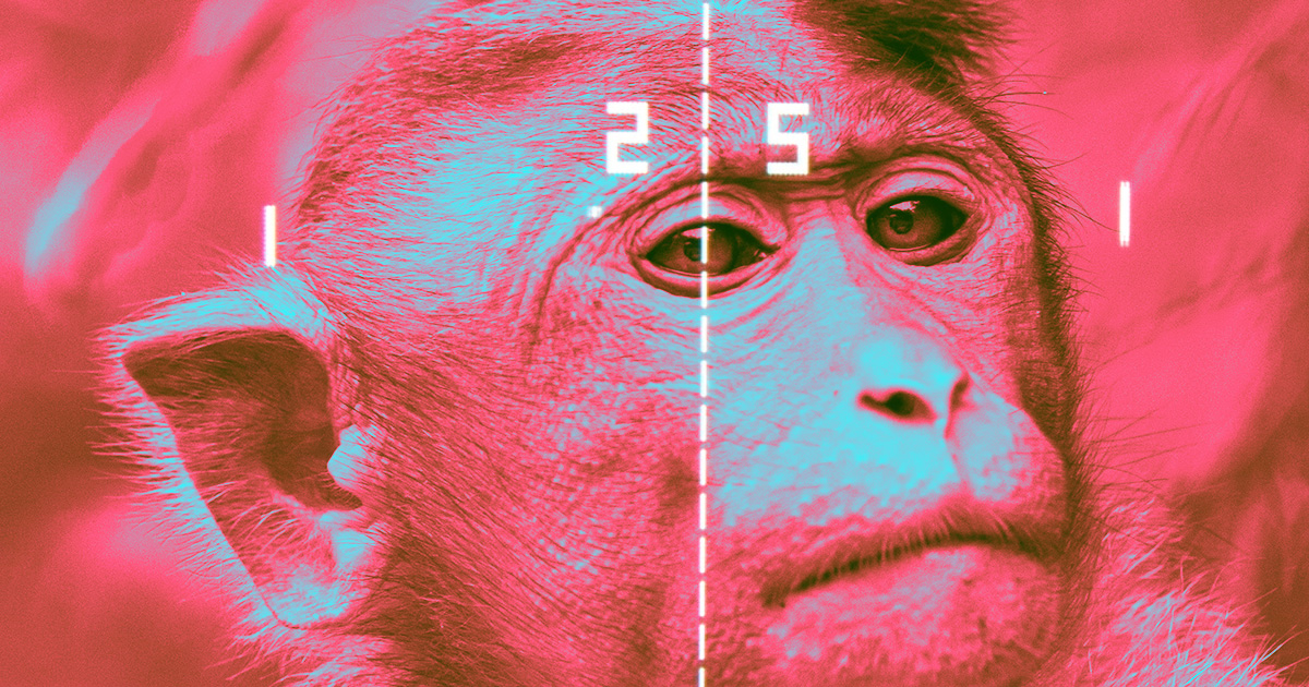 Neuralink Monkey Plays Video Games in Mind, Elon Musk Says | Futurism