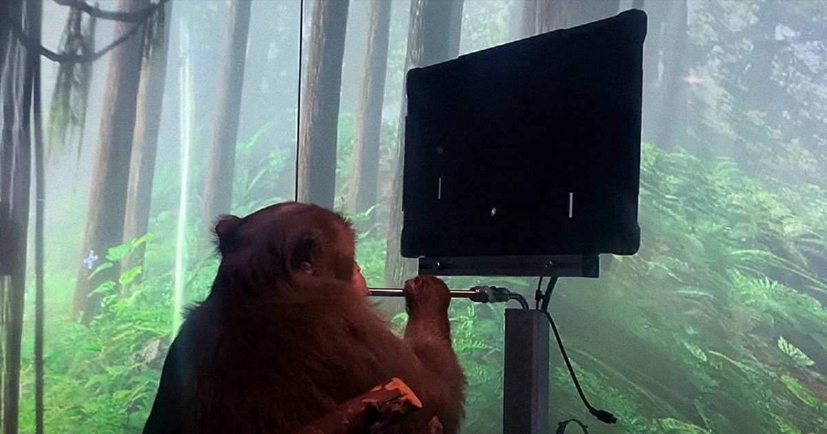 Neuralink Releases Video of Monkey Playing Pong With Its Mind