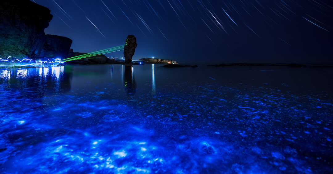 Sailors Say the Ocean Around Their Ship Started to Glow