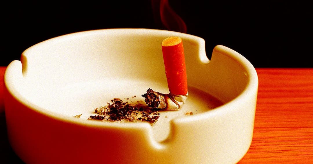 New Zealand Officially Bans Cigarettes for Anybody Born After 2008