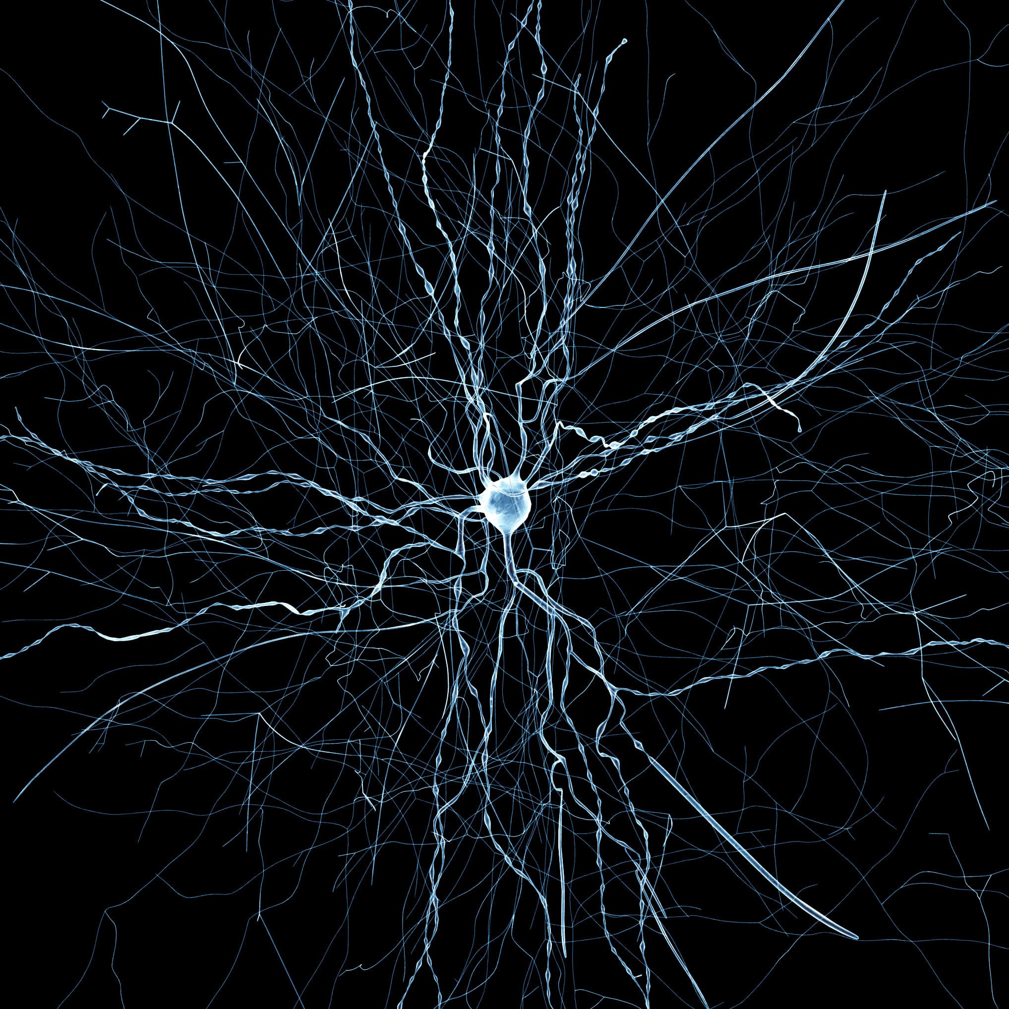 EPFL/Blue Brain Project