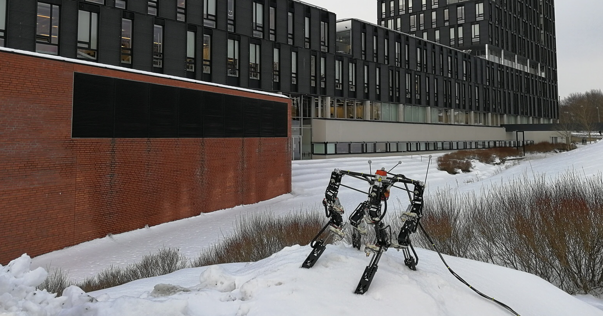 University of Oslo/Dyret/Tønnes Nygaard