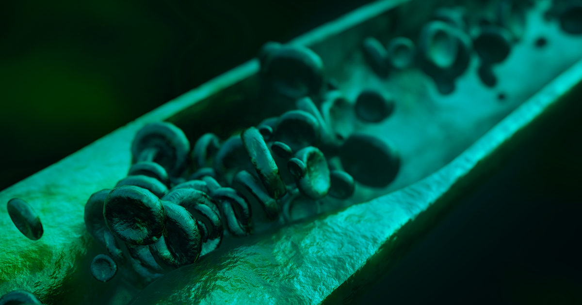 Shutterstock/Victor Tangermann Shutterstock/Victor Tangermann