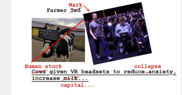 Reddit meme "Meat-a-verse" comparing cows wearing VR headsets to people in the Metaverse. Mark Zuckerberg strides by audience members in headsets in the right image.