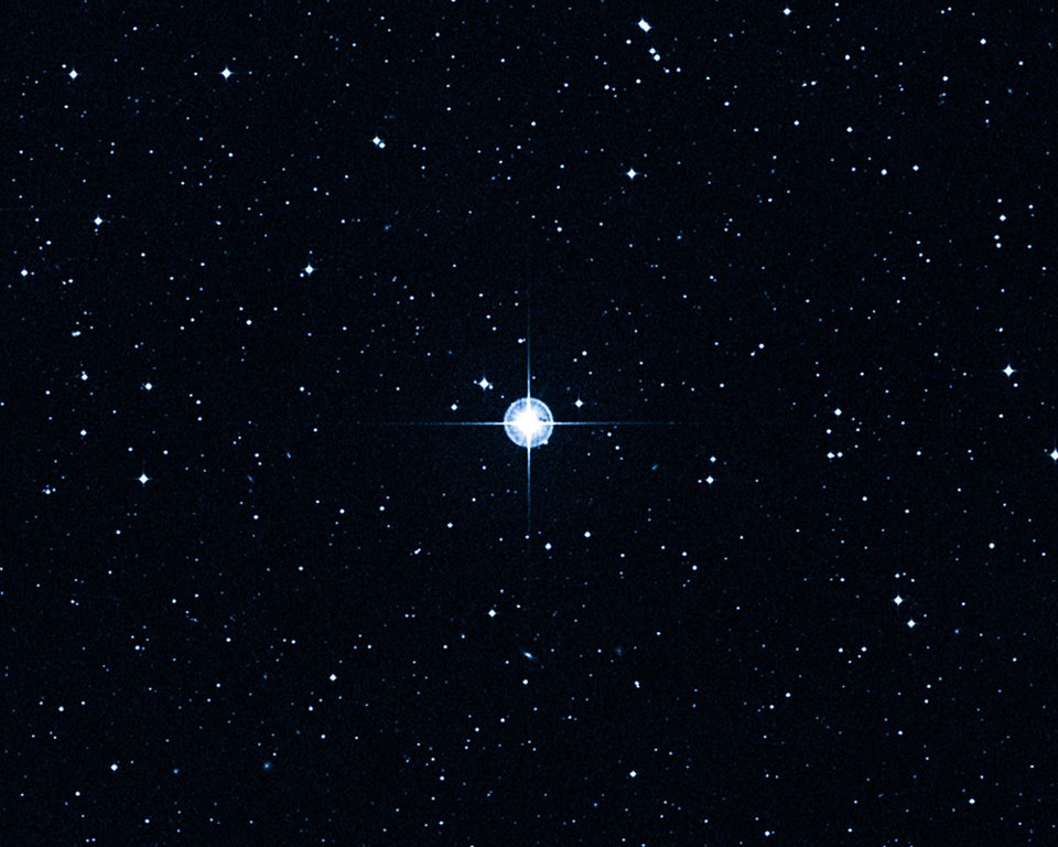 550042_437595459660202_22487315_n