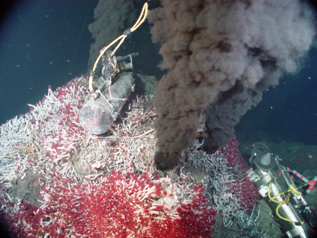 Another look at the environment surrounding hydrothermal vents. (Credit: NOAA PMEL Vents Program)