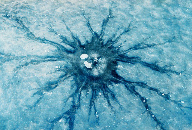 The Universersal Phase Change