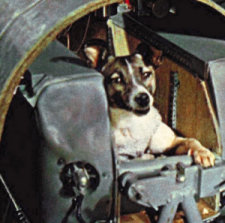 Laika in her capsule. Via Dave Darling