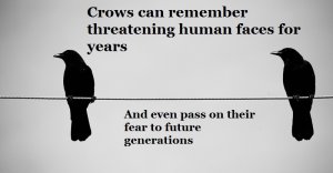 Credit: Mike Fussell, 2009