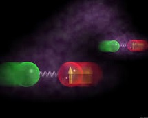 A simulation of entangled particles (Credit: John Jost and Jason Amini - via Livescience)
