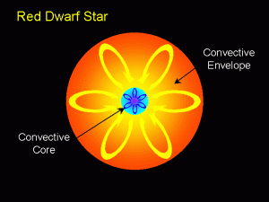 The internal structure of a red dwarf (Credit: David Darling)