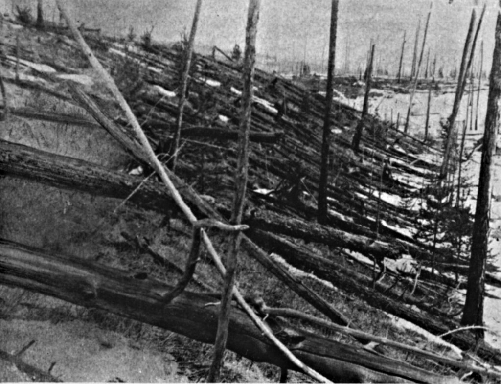 Image taken by the the Leonid Kulik Expedition of trees felled by the Tunguska explosion.