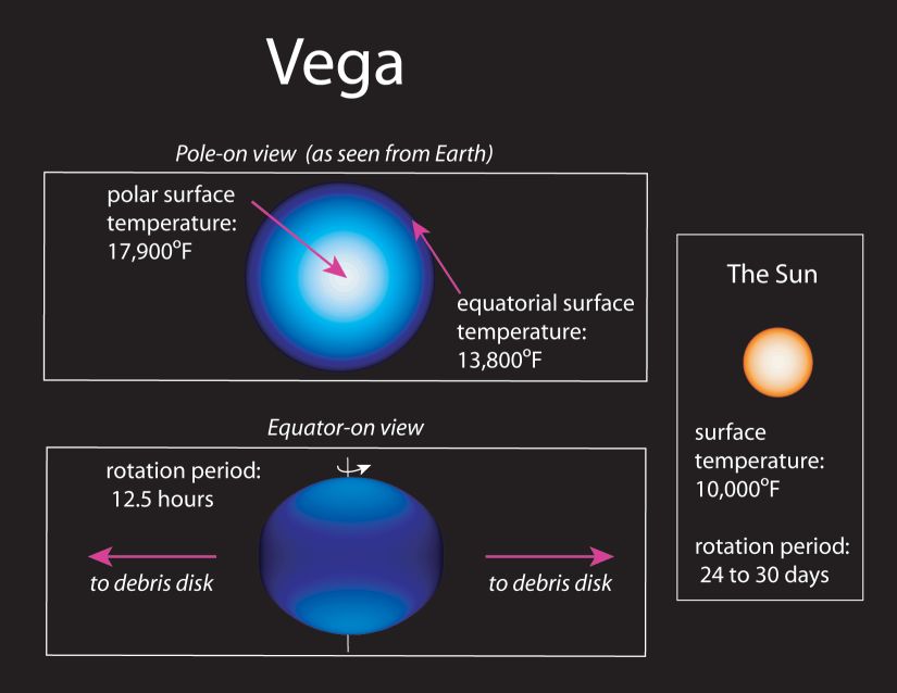 Vega rotates so  fast that it is  cooler as well  as wider at its  equator than at  its poles 