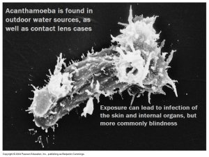 Credit before editing: Benjamin Cummings