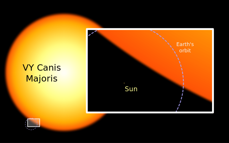 A comparison between the hypergiant, our sun and Earth's orbit. (Credit: WikiMedia)