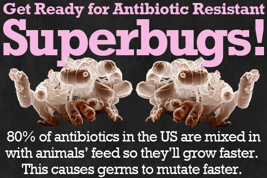 Information via USDA report, which can be found here