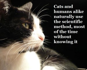 Image credit: Serena, via Flickr
