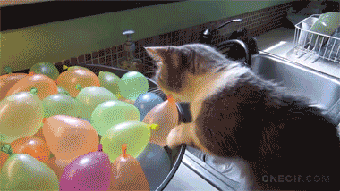 via: http://i.imgur.com/ZlrvucY.gif